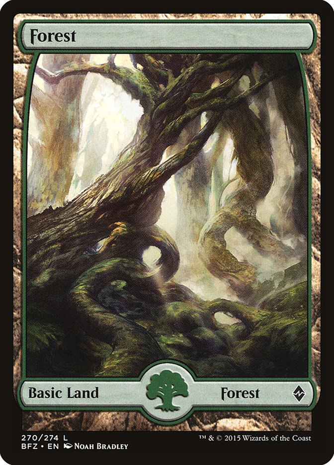 Forest (270) (Full Art) [Battle for Zendikar]